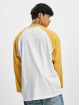 Dickies Longsleeve Cologne geel