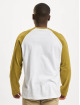 Dickies Longsleeve Cologne grün
