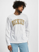 Dickies Longsleeve Aitkin white