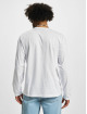Dickies Longsleeve Aitkin wit
