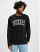 Dickies Longsleeve Aitkin zwart