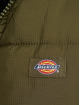 Dickies Parka Alatna Long groen