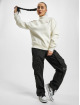 Dickies Puserot Oakport High Neck beige