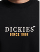 Dickies Puserot Park musta