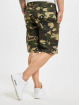 Dickies Short New York camouflage