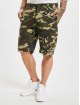 Dickies Short New York camouflage