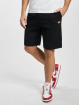 Dickies Short Mapleton noir