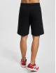 Dickies Short Mapleton noir