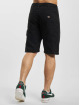 Dickies Short Duck Canvas noir