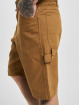Dickies shorts Duck Canvas bruin