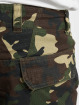 Dickies Shorts Whelen camouflage