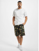 Dickies Shorts Whelen camouflage