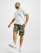 Dickies Shorts Millerville camouflage