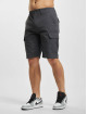Dickies Shorts Millerville grau
