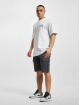 Dickies Shorts Millerville grau