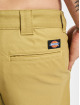 Dickies Shorts Cobden khaki