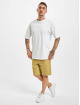 Dickies Shorts Cobden khaki