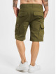 Dickies Shorts Millerville olive