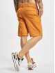 Dickies Shorts Cobden orange