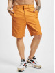 Dickies Shorts Cobden orange
