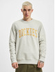 Dickies Sweat & Pull Aitkin gris