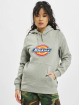 Dickies Sweat capuche Icon Logo gris