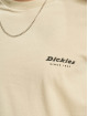 Dickies T-paidat Artondale Box beige