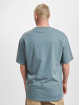 Dickies T-paidat Luray Pocket harmaa