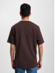 Dickies T-paidat Aitkin ruskea