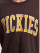 Dickies T-paidat Aitkin ruskea