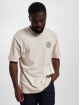Dickies t-shirt Greensburg beige