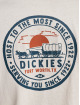 Dickies t-shirt Greensburg beige
