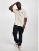 Dickies t-shirt Greensburg beige