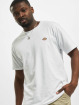Dickies T-Shirt Mapleton blanc