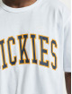 Dickies T-Shirt Aitkin blanc