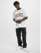 Dickies T-Shirt Aitkin blanc