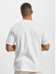 Dickies T-Shirt Aitkin blanc