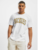 Dickies T-Shirt Aitkin blanc