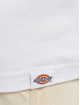 Dickies T-Shirt Aitkin blanc
