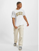 Dickies T-Shirt Aitkin blanc