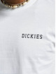 Dickies T-Shirt Cleveland blanc