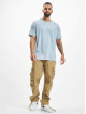 Dickies T-Shirt SS bleu