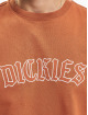 Dickies t-shirt Union Springs SS bruin