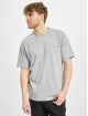 Dickies T-Shirt Mapleton grey