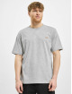 Dickies T-Shirt Mapleton gris