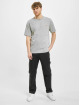 Dickies T-Shirt Mapleton gris