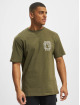 Dickies T-Shirt Marbury grün