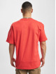 Dickies t-shirt Summerdale rood