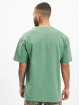 Dickies T-Shirt Union Springs SS vert