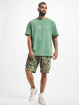 Dickies T-Shirt Union Springs SS vert